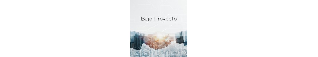 Bajo Proyecto